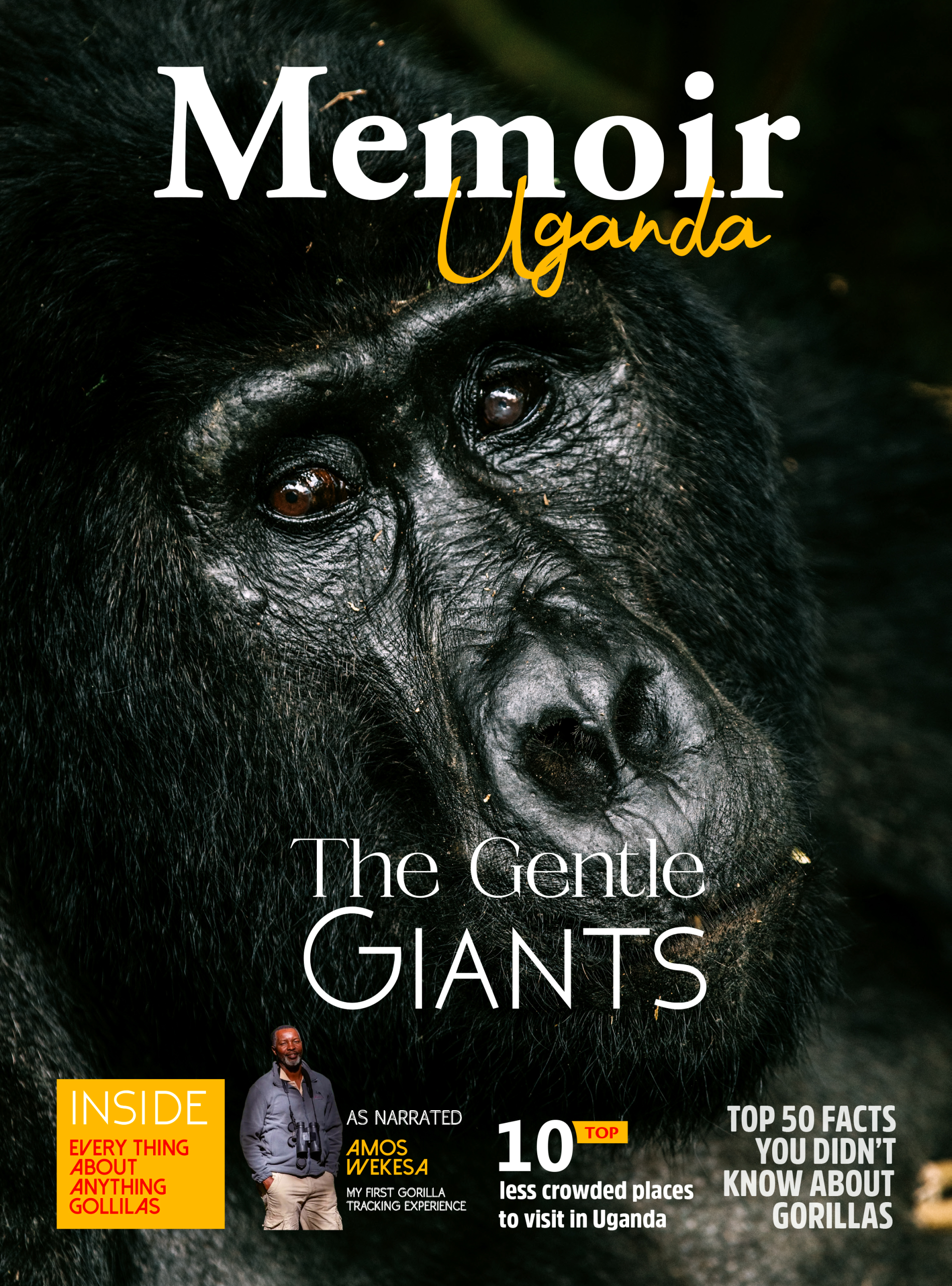 The-Gentle-Giants-1.webp